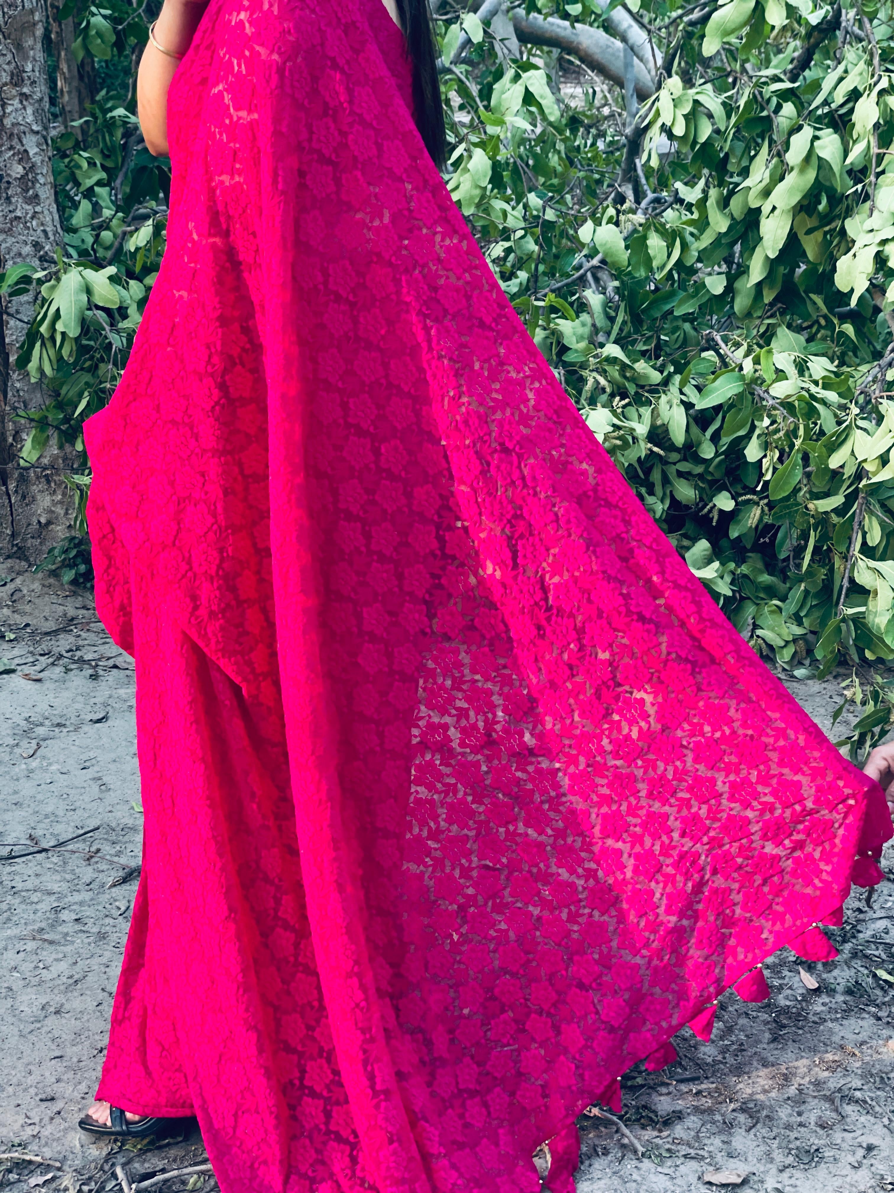 Lace work Pre draped Saree